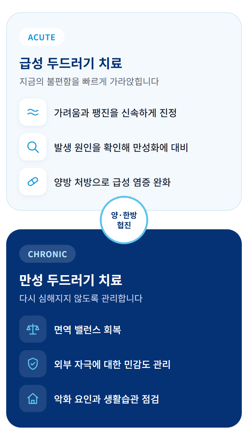 급성 두드러기 치료와 만성 두드러기 치료 비교 안내